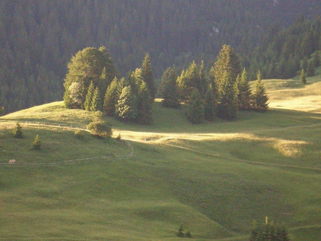Alpenhof "Alt Laehn" Ξενοδοχείο Εξωτερικό φωτογραφία